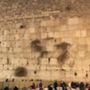 Meet your Posher, Sarah aydel